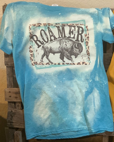 Roamer